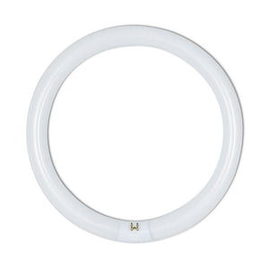 G10Q T9 32W Circular Fluorescent Tube Warm White