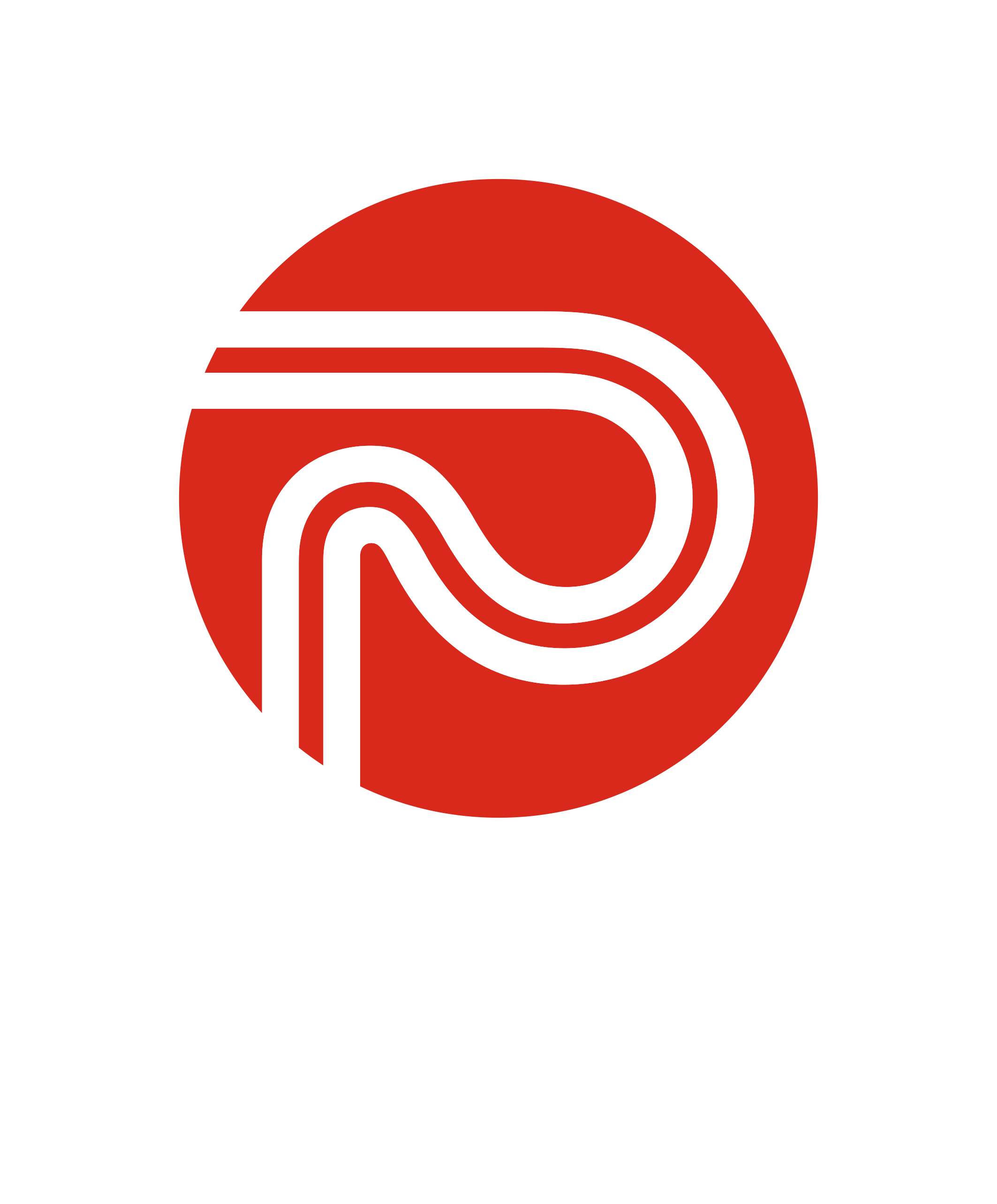 NZ Lights