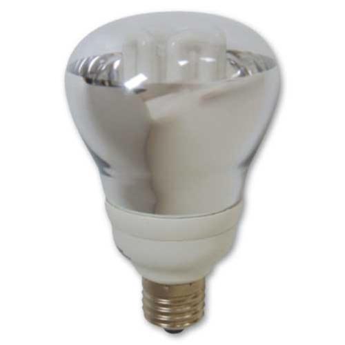 NZ Lightbulbs