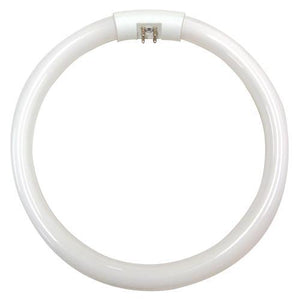 LAMP: G10Q T5 CIRCLINE 22W Coolwhite 190mm X 17mm