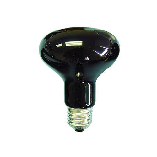 NZ Lightbulbs