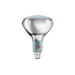 INFRA-RED HEAT LAMPS: B22D 240V 250W CLEAR R125 REFLECTOR INFRALITE™